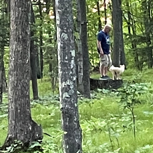 person in the woods with a dog