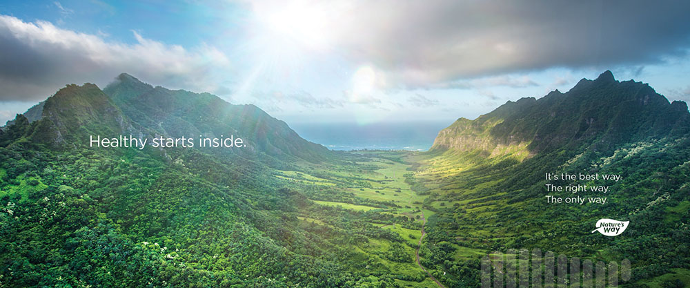 a picturesque lush valley between two large mountain tops with clouds on either side and sun between them